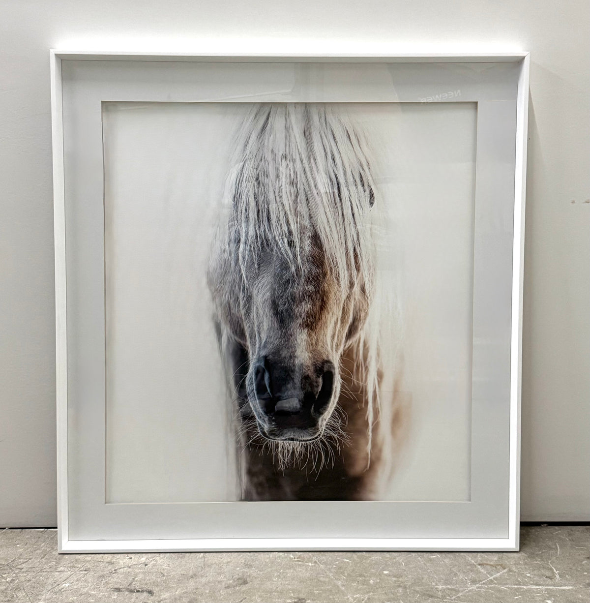 'Palomino' Photo Print