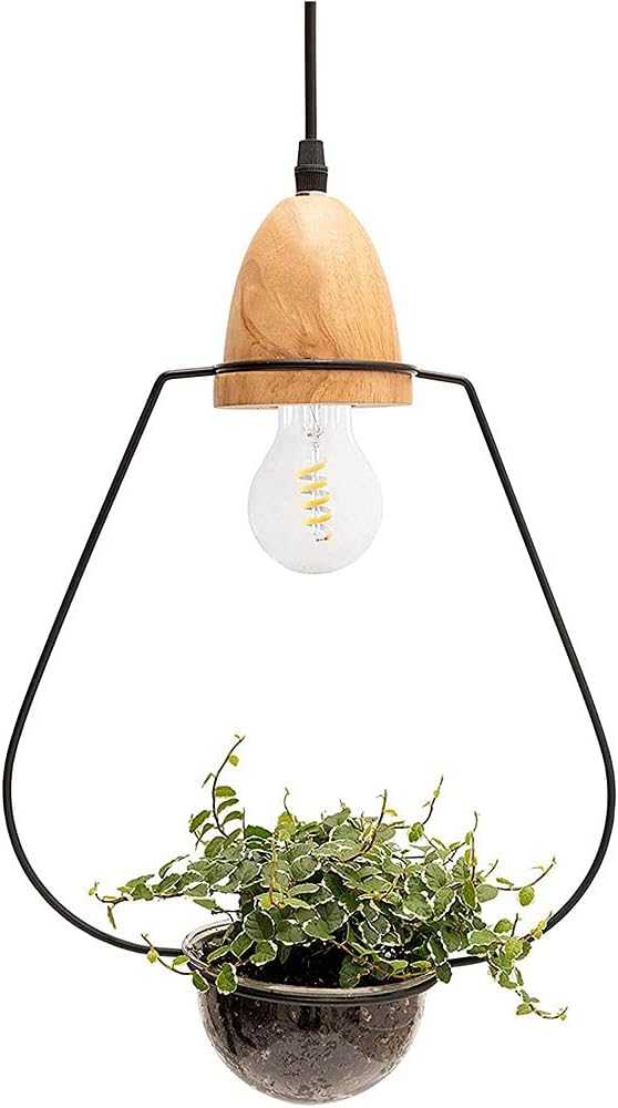 NEW Matte Black & Wood Pendant Light with Plant Holder