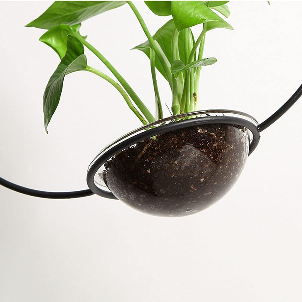 NEW Matte Black & Wood Pendant Light with Plant Holder