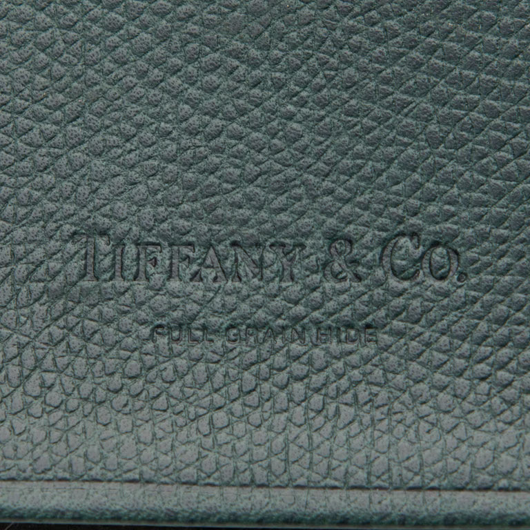 NEW TIFFANY Traveler's World Atlas