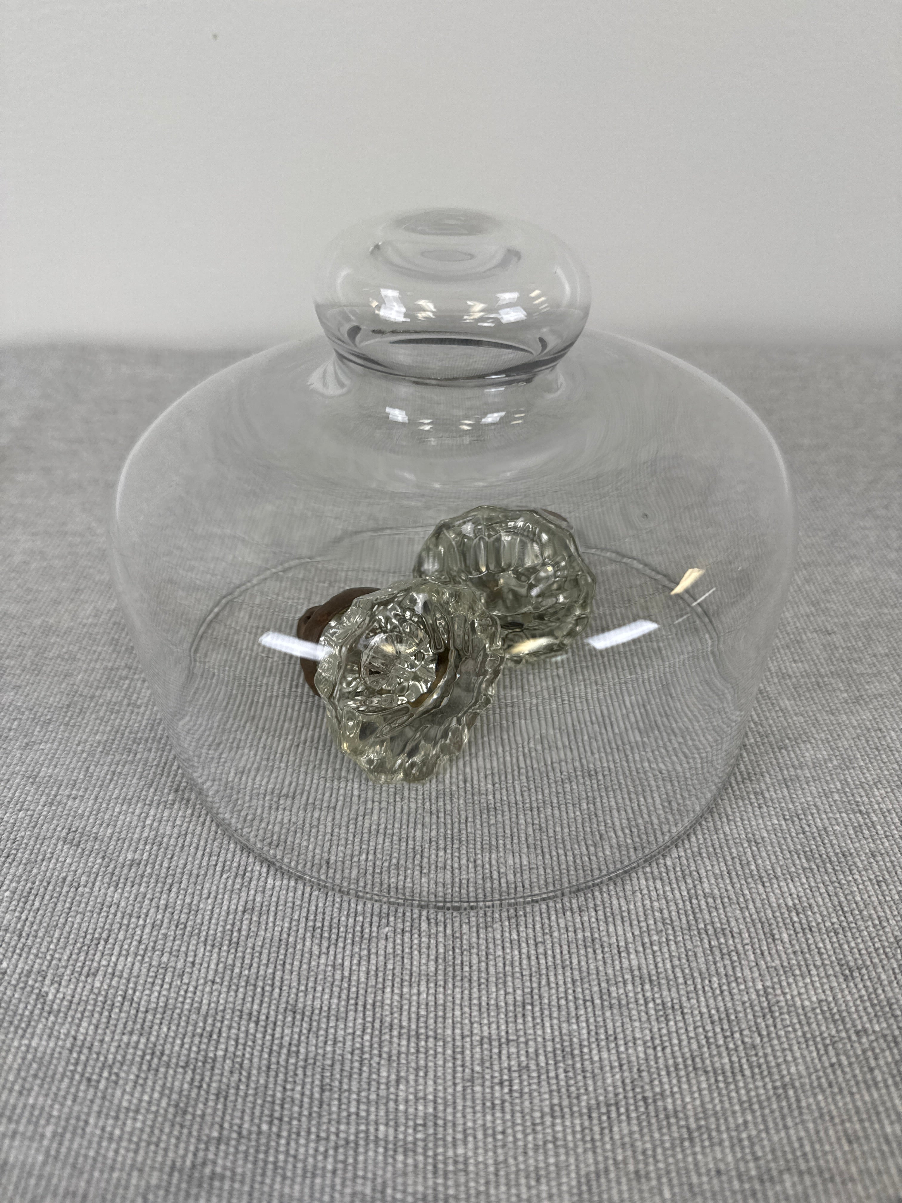 Clear Glass 6" Cloche